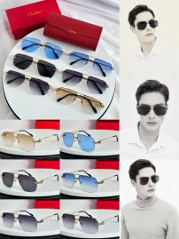 Picture of Cartier Sunglasses _SKUfw56810208fw